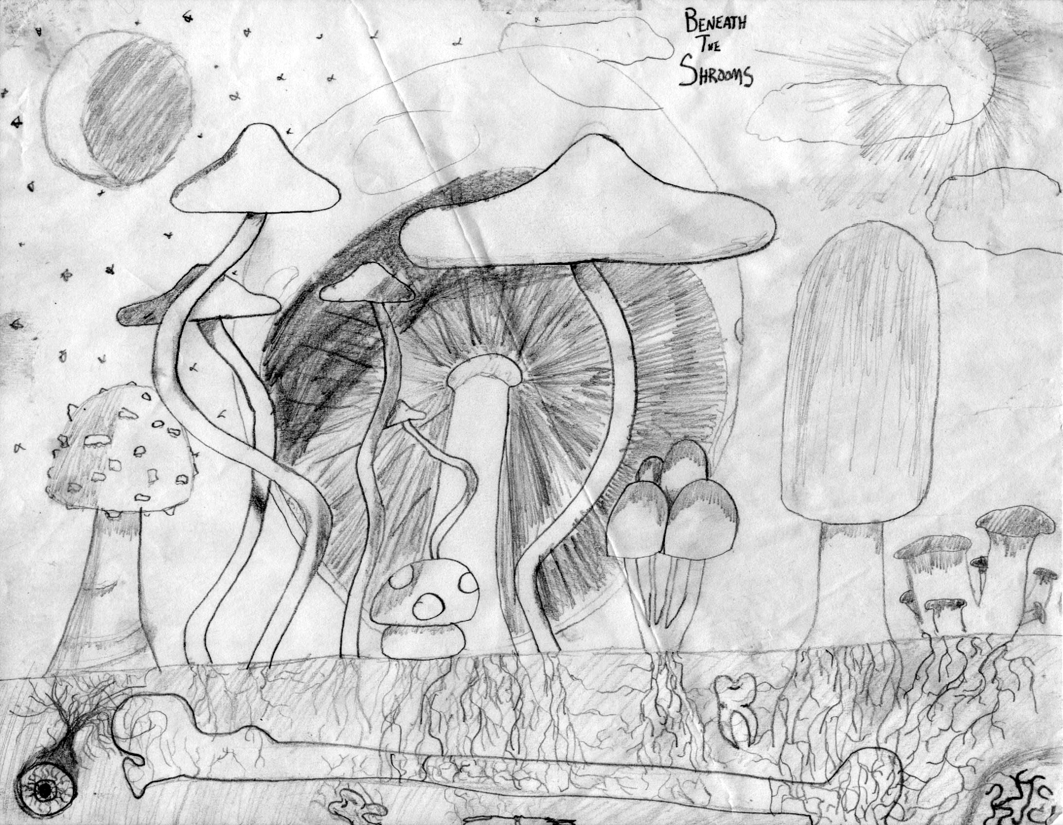 Beneath The Shrooms