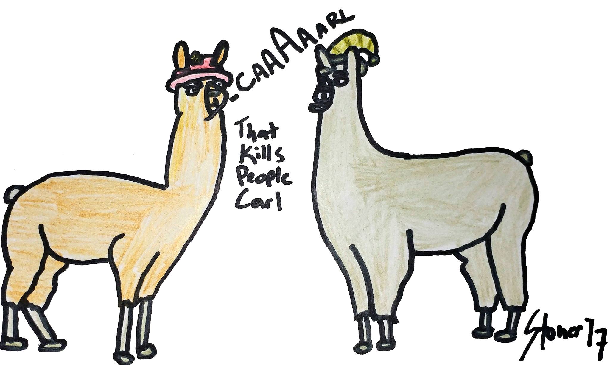 Llamas With Hats