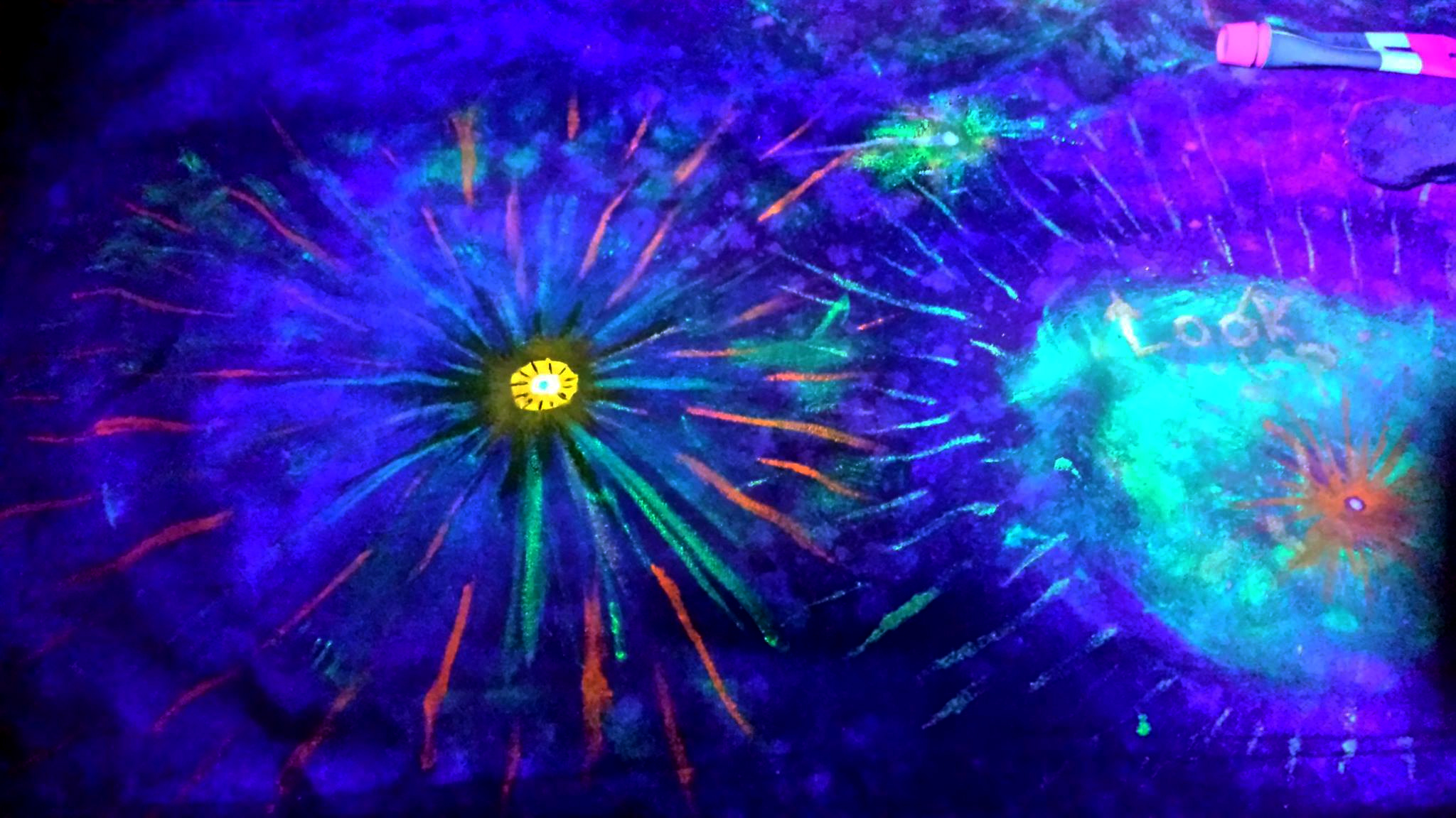 Galactee 2 Bottom UV