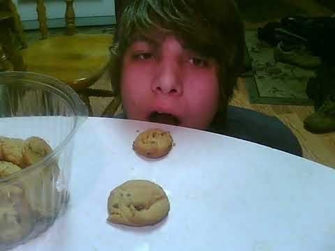 Stop Motion Compilation (OLD Content)