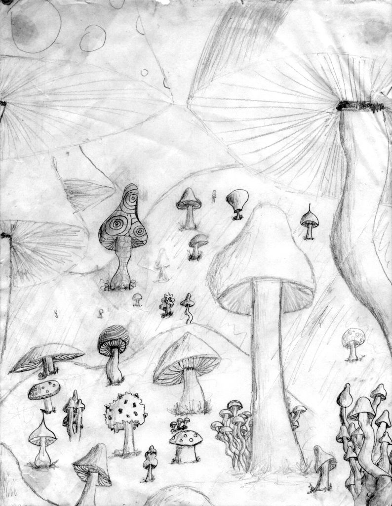 Fungal Forest